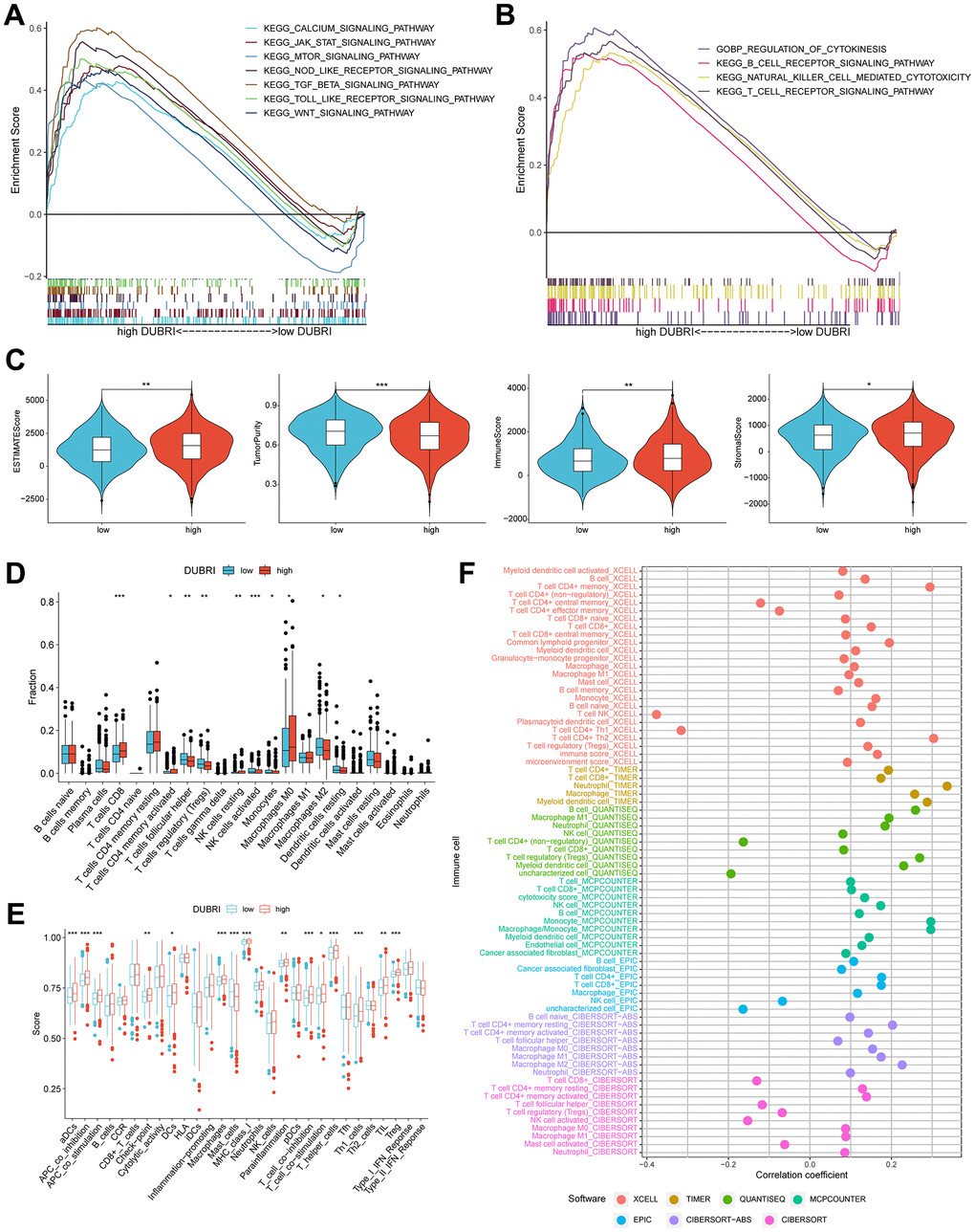 Assessment of the tumor microenvironment based on the deubiquitinating enzyme-related index. (A, B) GSEA analysis was conducted on patients belonging to the high DUBRI group. (C) Variations in tumor purity, ESTIMATEScore, immunity score, and stroma score observed between high and low DUBRI groups. (D) The CIBERSORT technique is used to evaluate the variations in immune cell populations between individuals classified as either high or low DUBRI group. (E) The ssGSEA method evaluates disparities in immune cells and immunological function across patients categorized into the high/low DUBRI group. (F) The connection between DUBRI and immune cell infiltration was analyzed using XCELL, TIMER, QUANTISEQ, MCPCOUNTER, EPIC, CIBERSORT-ABS, and CIBERSORT software.