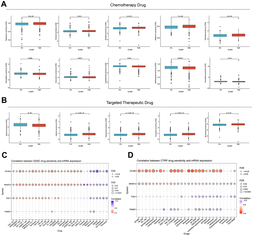 Value of DUBRI in predicting drug sensitivity. (A) Disparity in the reaction to typical chemotherapy drugs among individuals in the high and low DUBRI groups. (B) Variations in the responsiveness to commonly used targeted therapeutic drugs between the high and low DUBRI groups. (C, D) The association between drug sensitivity and mRNA expression of the four genes that make up PCDI was studied using the GDSC database and CTRP database.