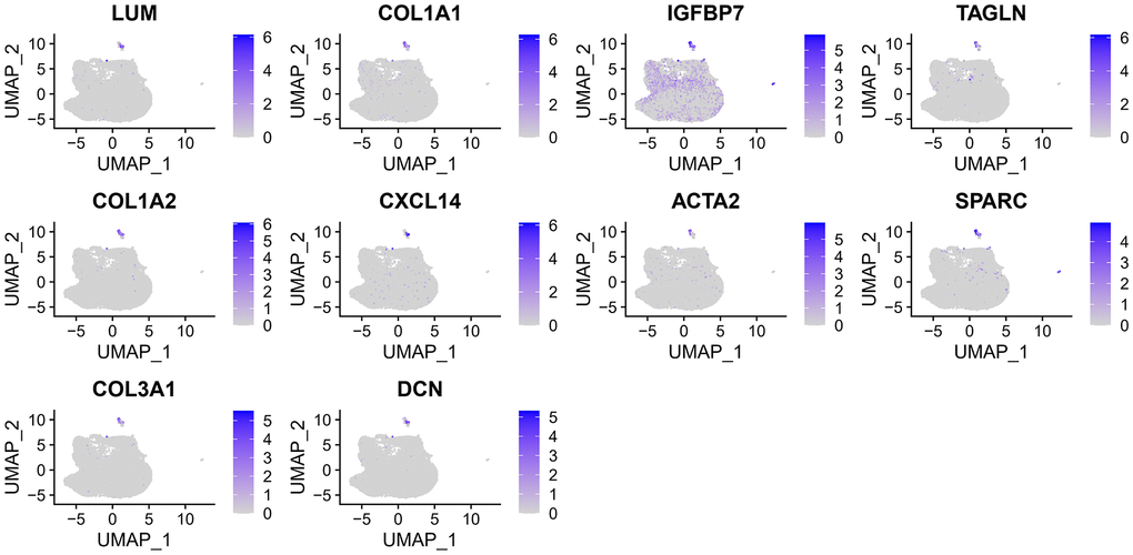 The expression of 10 fibroblast marker genes.