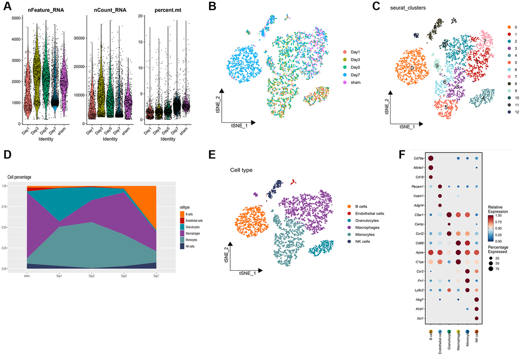 Deciphering gene expression changes and immunological dynamics in acute