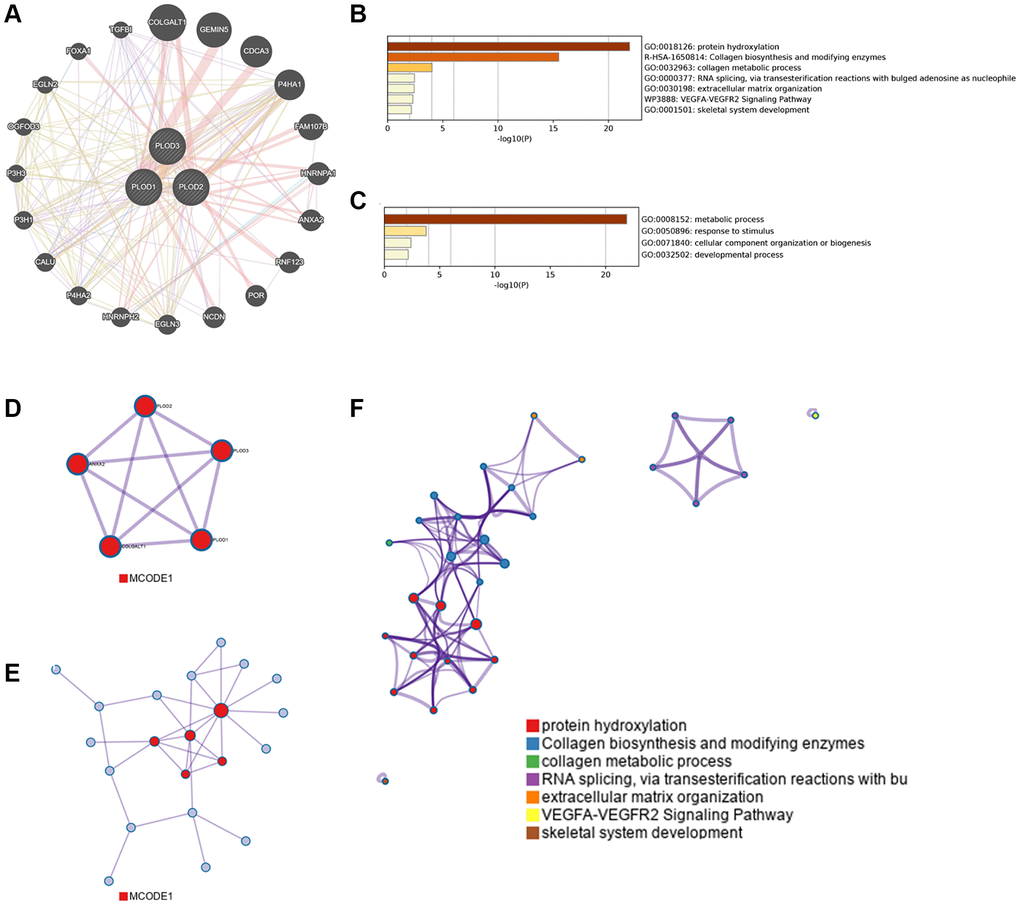 Protein-protein interaction network in POLDs in GeneMANIA. (A) Co-expression of PLOD family genes; (B) Heatmap of GO enriched terms and biological processes colored by the p-value; (C) Networks of GO-enriched terms and biological processes using the p-value; (D, E) Protein-protein interaction network and significant MCODE components from protein-protein network. (F) Independent functional enrichment analysis of MCODE components.