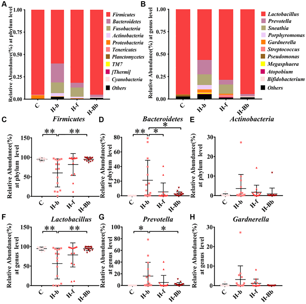 Effects of intravaginal transplantation of L. crispatus chen-01 on vaginal microecological composition. (A) Comparison of vaginal microecological composition at the phylum level in the groups of C, H-b, H-f and H-Bb. (B) Comparison of vaginal microecological composition at the genus level in the groups of C, H-b, H-f and H-Bb. (C–E) Comparison of phylum composition of Firmicutes, Bacteroidetes and Actinobacteria in the groups of C, H-b, H-f and H-Bb. (F–H) Comparison of genus composition of Lactobacillus, Prevotella and Gardnerlla in the groups of C, H-b, H-f and H-Bb. C: Healthy people without HPV infection; H-b: Patients of HR HPV before enrollment; H-f: Patients of HR-HPV after treatment with placebo; H-Bb: Patients of HR HPV after treatment with probiotic. *P **P 
