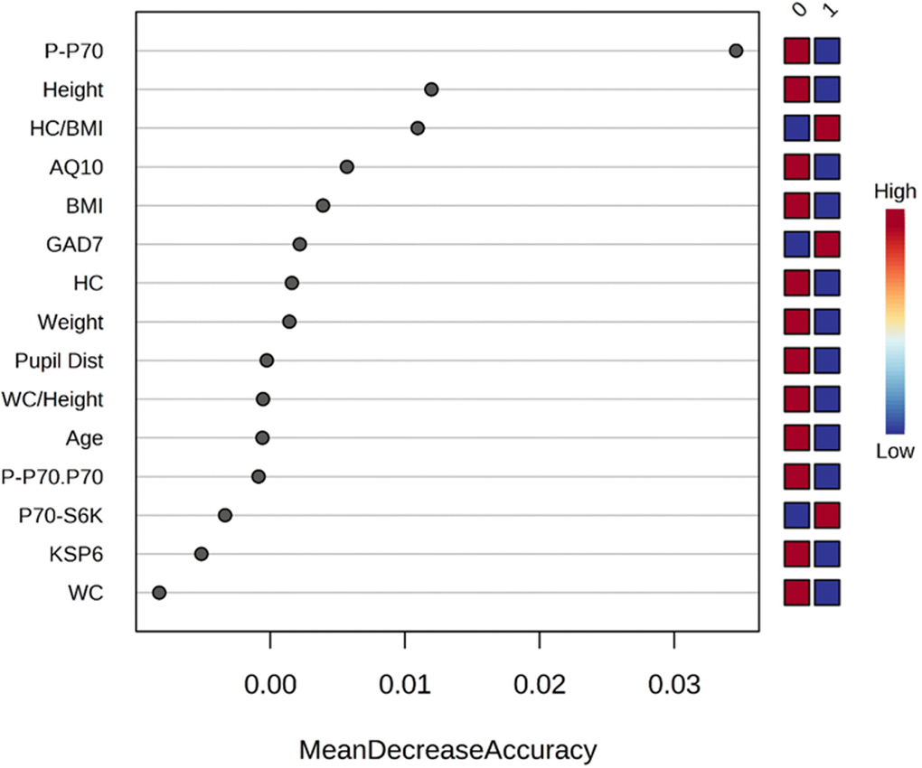 Rank of the clinical features that affect ketamine response based on the random forest algorithm. Ketamine response is indicated as “1” for responded and “0” for not responded. Corresponding up- and downregulation of the parameters are indicated on the right side of the plot. AQ10, 10-item Autism Spectrum Quotient; BMI, body mass index; GAD7, 7-item Generalized Anxiety Disorder; KSP6, HC, head circumference; HC BMI, ratio head circumference/BMI ratio; Karolinska Scales of Personality; PCA, principal component analysis; Pupil Dist, pupil distance; P.P70, phosphorylated p70S6K; P.P70.P70, ratio of phosphorylated p70S6K/total p70S6K; WC, waist circumference; WC Height, ratio waist circumference/height.