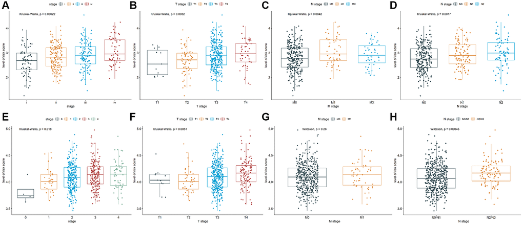 Analysis of clinicopathological characteristics. The Kruskal-Wallis test was used to analyze the relationship between risk score and (A) advanced pathological stages, (B) T stages, (C) M stages, and (D) N stages in TCGA-COAD cohort. The Kruskal-Wallis test was used to analyze the relationship between risk score and (E) advanced pathological stages and (F) T stages in GSE39582 cohort. The Wilcoxon test was performed to analyze the relationship between risk score and (G) M stages and (H) N stages in GSE39582 cohort.