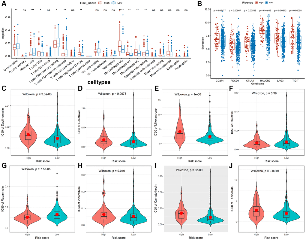 Immune infiltrate analysis and efficacy prediction of TALRGs signature. (A) The Wilcoxon test was applied to compare the proportions of immune cells between low- and high-risk groups. (B) Comparing the difference of the mRNA levels of immune checkpoints unpaired between the two risk groups using unpaired t-test. (C–J) Comparing the difference of IC50 value of chemotherapy drugs between the two risk groups using Wilcoxon test.