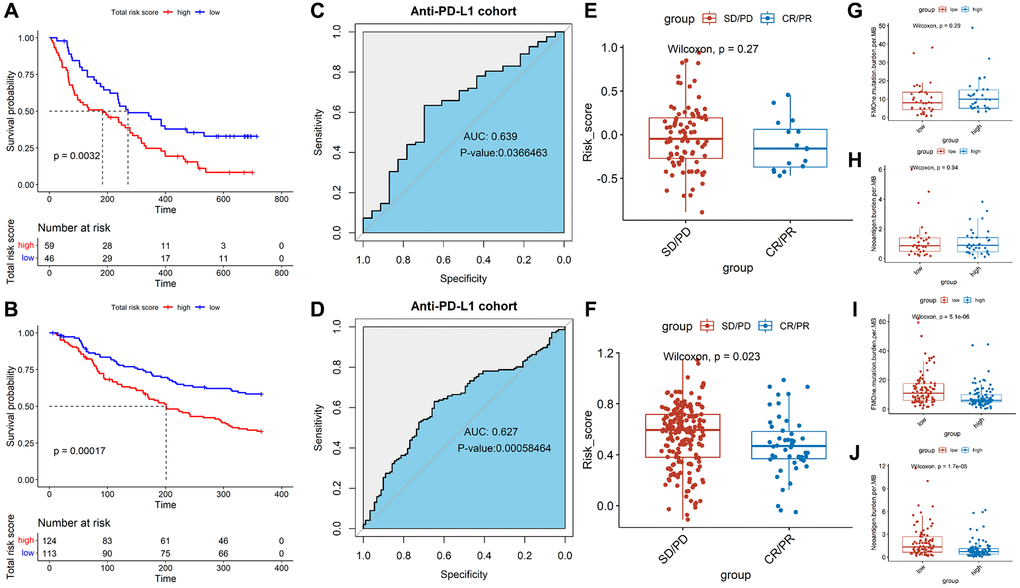 Effect of immunotherapy on prognosis. Kaplan–Meier analysis of the TALRGs signature in the platinum-treated cohort (A) and non-platinum-treated cohort (B). ROC curve analysis of anti-PD-L1 cohort in the platinum-treated cohort (C) and non-platinum-treated cohort (D). Comparing the difference of the risk score between responders group and non-responders group in the platinum-treated cohort (E) and non-platinum-treated cohort (F). Comparing the difference of the tumor mutation load and neoantigen load between low- and high-risk groups in the platinum-treated cohort (G, H) and non-platinum-treated cohort (I, J).