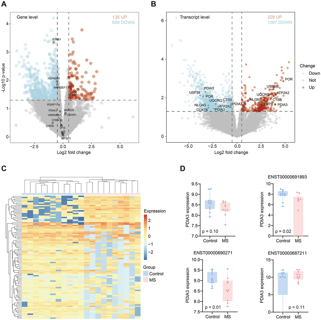 Differentially expressed genes and transcripts. (A) Differential genes volcano in MS compared with control group. Red and blue dots represent up and down-regulated genes, respectively. (B) Differential transcripts volcano in MS compared with control group. Red and blue dots represent up and down-regulated transcripts, respectively. (C) Heatmap displayed significantly different transcripts expression in MS and control group. (D) Boxplots showed the PDIA3 gene and its three transcripts’ differential expression between MS and control groups.