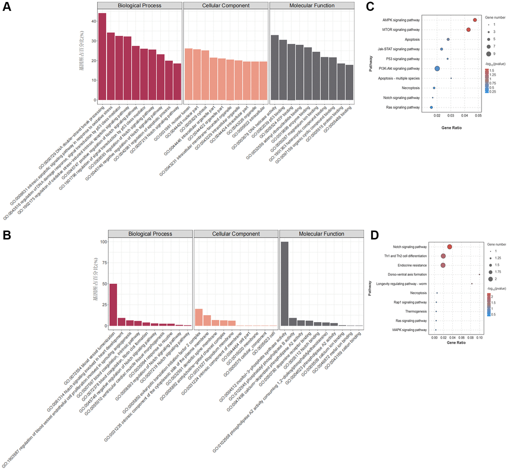 GO and KEGG pathway enrichment analysis of DEmRNAs and DEcircRNAs. (A) GO enrichment analysis of DEcircRNA parental genes. (B) GO enrichment analysis of DEmRNAs. (C) KEGG enrichment analysis of DEcircRNA parent genes. (D) KEGG enrichment analysis of DEmRNAs.
