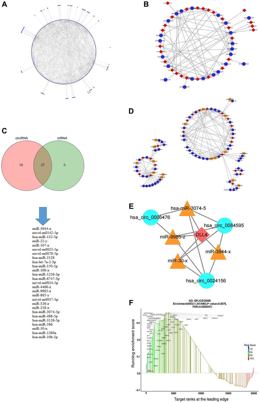 Construction of the circRNA-miRNA–mRNA regulatory network in apoptotic cells. (A) circRNA-miRNA regulatory network. (B) miRNA–mRNA regulatory network. (C) Intersection of miRNA targets of circRNAs and mRNAs. (D) ceRNA regulatory network. (E) ceRNA regulatory network targeting DLL4. (F) GSEA of genes related to the notch signalling pathway.