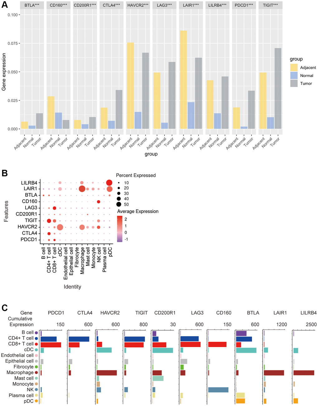 Bioinformatics analysis of the distribution of 10 immune check site receptors on tissues and cells. (A) Expression ratios of 10 immune checkpoints receptors in tumors, blood, spleen, lung, muscle, and bone marrow tissues; (B) Bioinformatics analysis of the expression of 10 immune checkpoint receptors in 13 cell subsets showed a heat map of the normalized markers for each cluster, with data representing the entire tumor; (C) Bioinformatics analysis of receptor expression at 10 immune checkpoints, histogram showing high and low expression of each receptor on different cell subsets, and data representing the entire tumor.