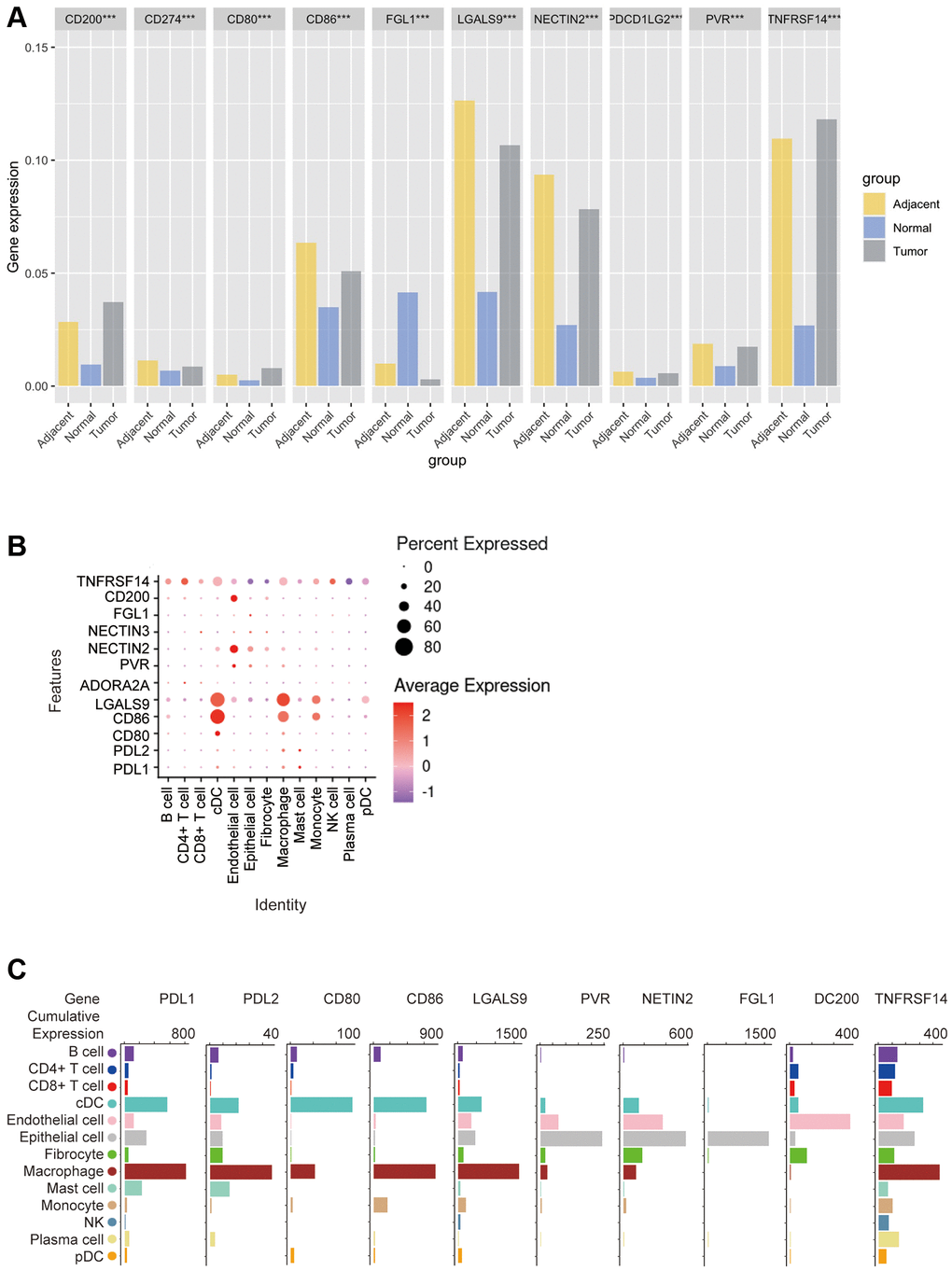 Bioinformatics analysis of the distribution of 10 immune check site ligands on tissues and cells. (A) Expression ratios of 10 immune checkpoint ligands in tumors, blood, spleen, lung, muscle, and bone marrow tissues; (B) Bioinformatics analysis of the expression of 10 immune checkpoint ligands in 13 cell subsets showed a heat map of the normalized markers for each cluster, with data representing the entire tumor; (C) Bioinformatics analysis of ligands expression at 10 immune checkpoints, histogram showing high and low expression of each receptor on different cell subsets, and data representing the entire tumor.