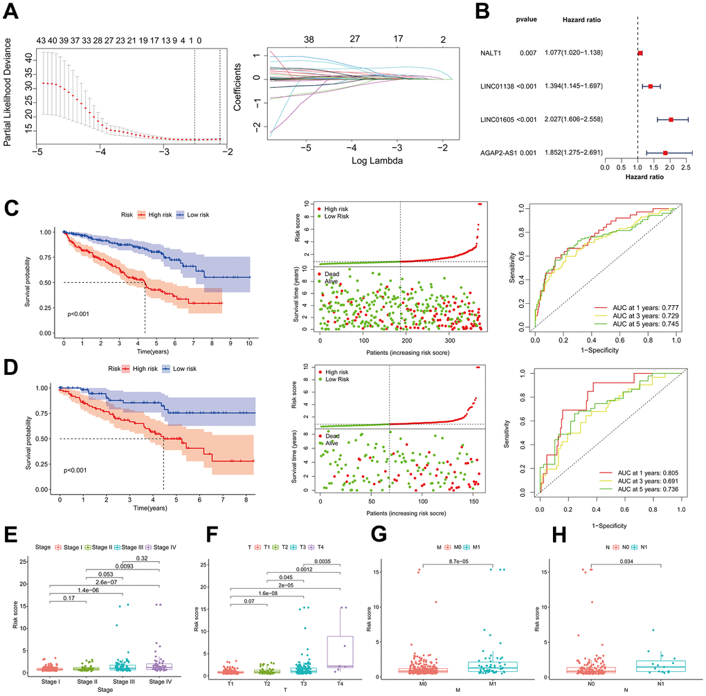 Association of risk assessment models with prognosis and clinical features of ccRCC. (A) Lasso regression analysis identifying the most robust HRLs. (B) Forest plot of the four GRLs in the multifactor Cox regression model. Kaplan-Meier curves, survival status and ROC curves between high and low risk groups in the training dataset (C) and validation dataset (D). Differences in risk scores between different stage (E), T (F), M (G) and N (H) strata in the training dataset.