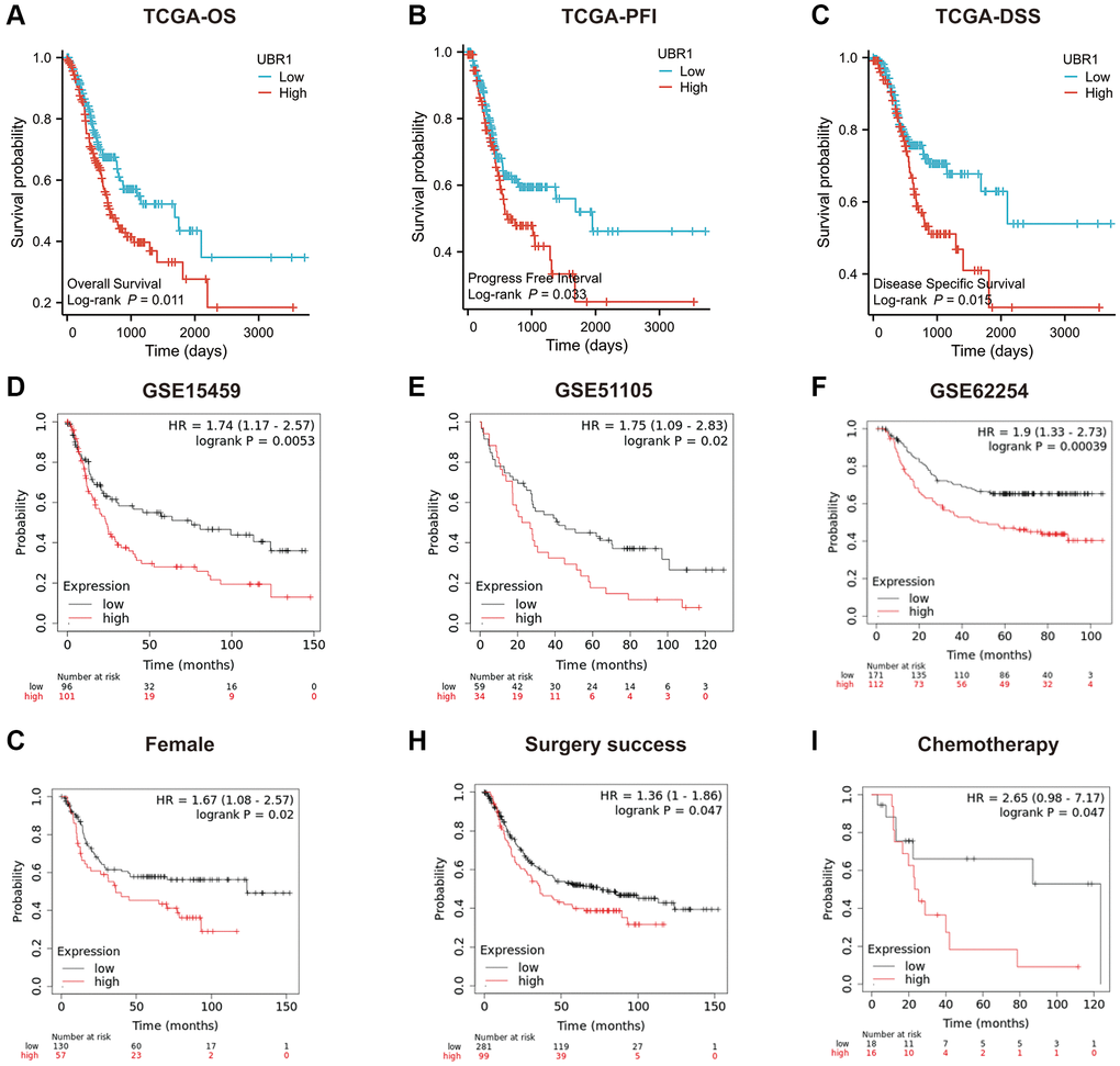 Prognostic role of UBR1 in gastric cancer. (A) Overall survival (OS) curves for patients expressing UBR1 were plotted using the Kaplan-Meier Plotter database, revealing a significant association (p B) The progression-free interval survival curve also indicated a significant correlation with UBR1 expression (p C) The disease-specific survival curve demonstrated a significant link (p D) GSE15459 (p E) GSE51105 (p F) GSE62254 (p G) subgroup analyses revealed significant OS differences based on UBR1 expression in: Female patients (p H) Patients with GC who underwent successful surgery (p I) GC patients treated with chemotherapy (p 