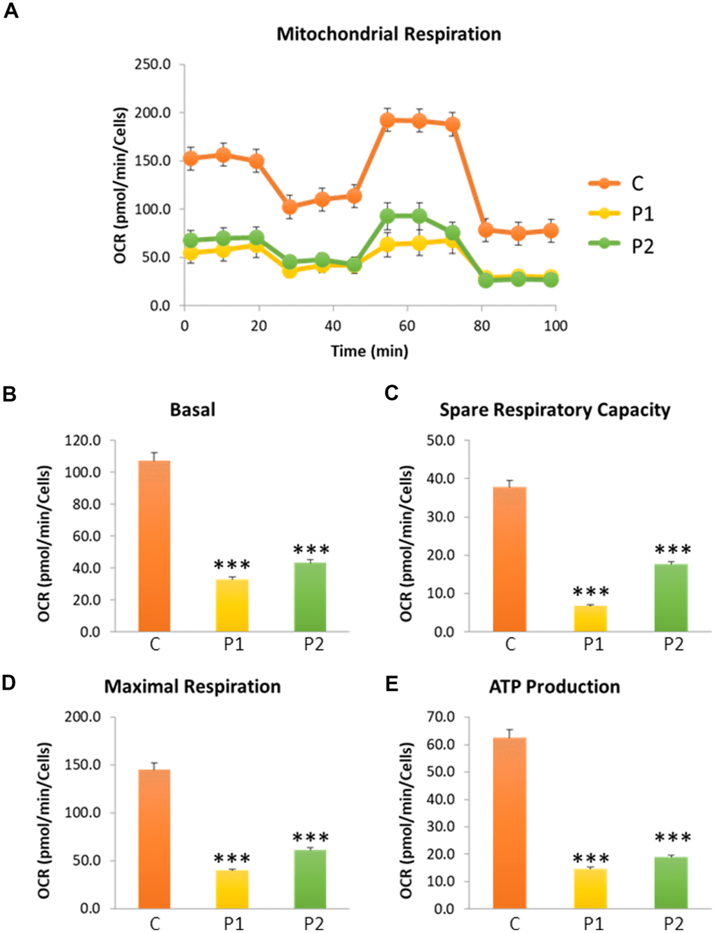 Cell bioenergetics in control (C) and MS (P1, P2) cells. C represents the mean of C1 and C2 data. (A) Mitochondrial respiration profile. (B) Basal respiration. (C) Spare respiratory capacity. (D) Maximal respiration. (E) ATP production. Data represent the mean ± SD of three independent experiments. ***p-value  between control and MS cells. OCR: oxygen consumption rate.