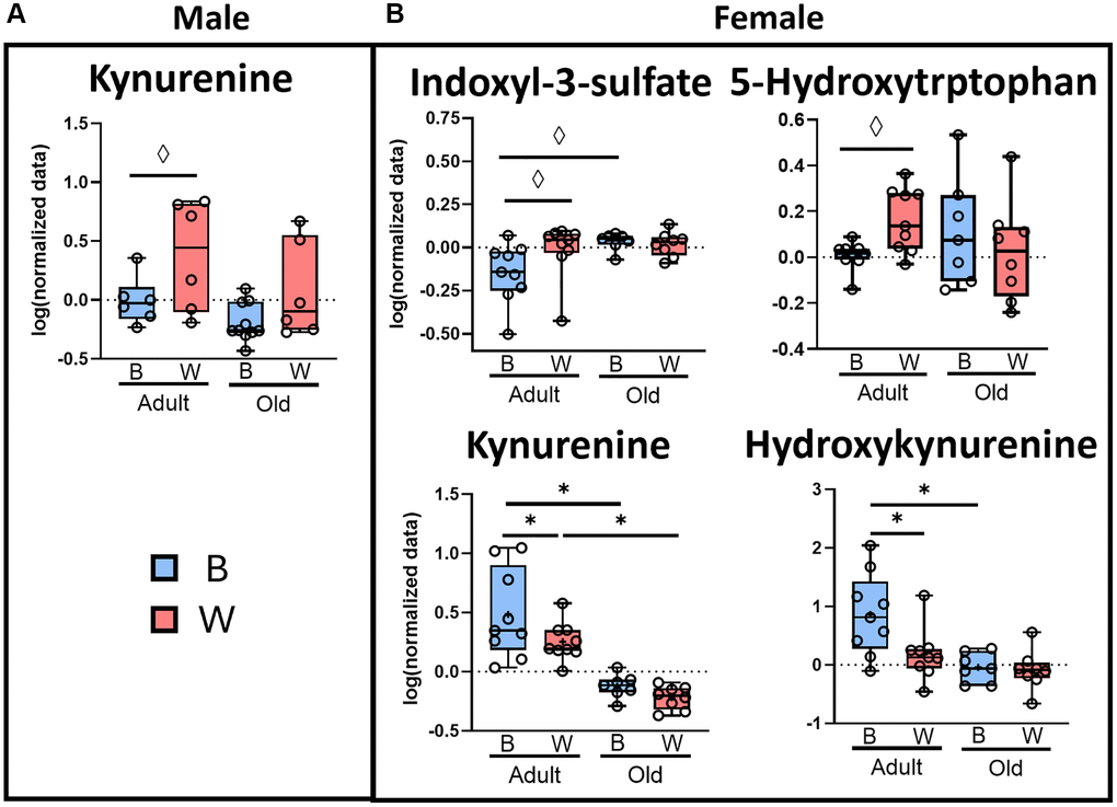 Microbial metabolism of tryptophan to kynurenine may be affected by age and mt-haplotype in female rats. Plasma tryptophan metabolites from male (A) and female (B) OKC-HETB (blue boxes) and OKC-HETW (red boxes) adult (9-months) or old (26-months) rats are shown. The box plots display the 1st and 3rd quartiles and a horizontal line at the median, and the whiskers display minimum and maximum values. The data were collected from 5 randomly selected rats per group, and the values significantly different by FDR *q ◊p 