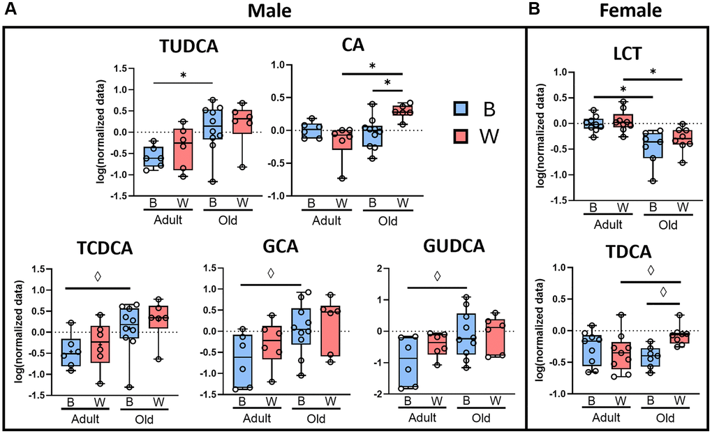 Changes in primary, but not secondary bile acids, are dependent on sex and mt-haplotype. Plasma bile acids from male (A) and female (B) OKC-HETB (blue boxes) and OKC-HETW (red boxes) adult (9-months) or old (26-months) rats are shown. The box plots display the 1st and 3rd quartiles with the horizontal line for the median, and the whiskers display minimum and maximum values. The data were collected from 6 to 10 rats per group, and significance was defined as FDR *q ◊p 