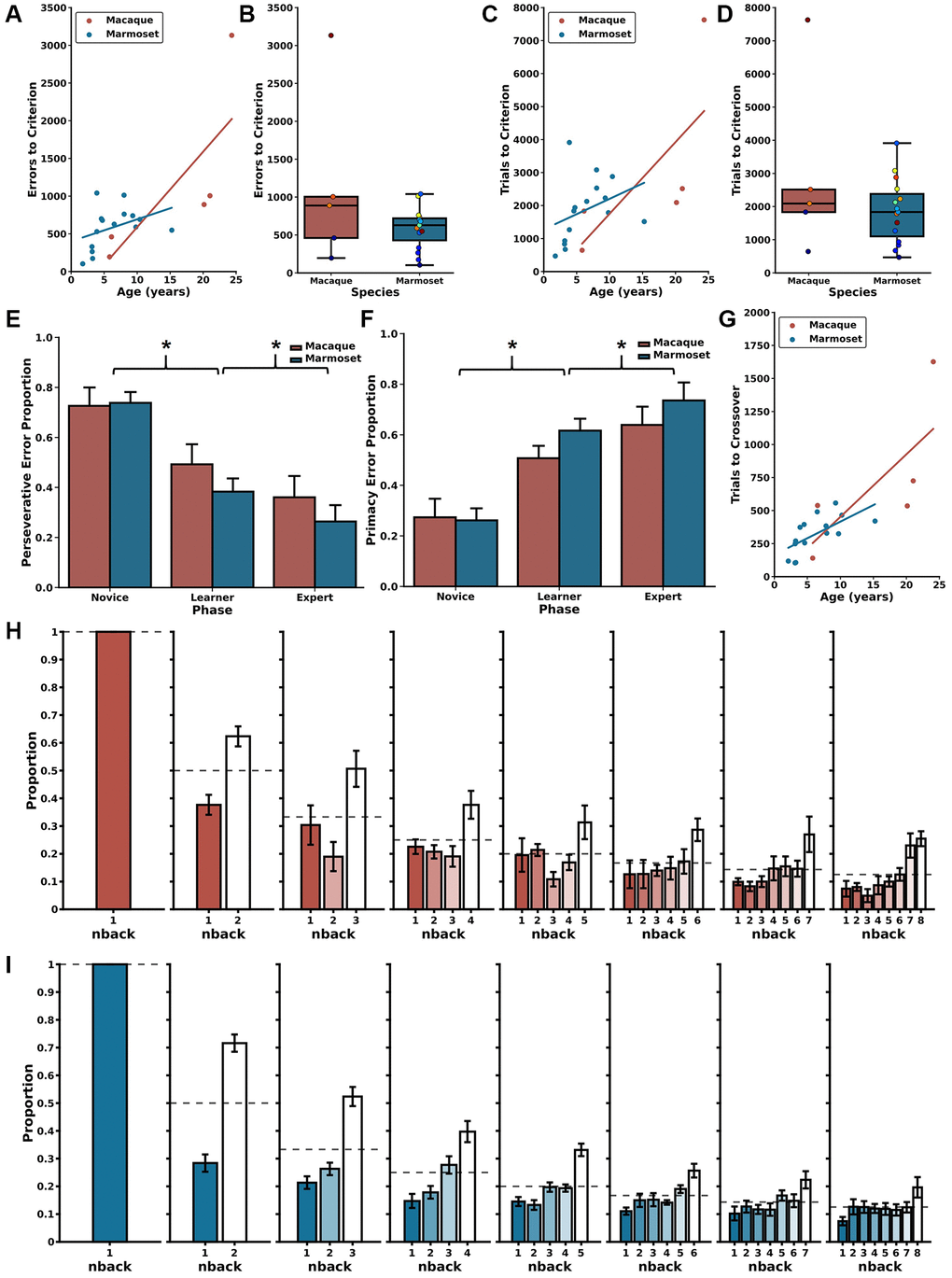 Error patterns related to age and trial difficulty level. (A) Increased age is correlated with committing a larger number of errors before reaching the performance criterion in the DNMS section of the DRST for both macaques (red) and marmosets (blue). (B) There were no significant species-specific differences in errors to reach the criterion. Similar patterns were identified in trials to criterion with (C) increased age associated with requiring more trials needed to reach criterion. (D) There were no significant interspecies differences in the number of trials to criterion. (E) Reduction in perseverative errors across Novice, Learner, and Expert Phases in both species. (F) Concurrent increase in primacy errors observed through these Phases for both macaques and marmosets. (G) There were significant associations between increasing age and more trials to transition from predominantly perseverative to predominantly primacy errors for macaques (red) and marmosets (blue). (H) During the Expert Phase, macaques more frequently misidentified remote (higher n-back) stimuli as novel compared to recent stimuli (lower n-back), suggesting retroactive interference. (I) Marmosets exhibit a similar pattern during the Expert Phase, also suggesting vulnerability to retroactive interference; mean ± SEM, *p B and D) represents one subject, colors according to age of subject in color scales in Figure 1B for marmosets and 1C for macaques. Marmoset data presented in (A–G) are re-plotted from Glavis-Bloom et al., 2022.