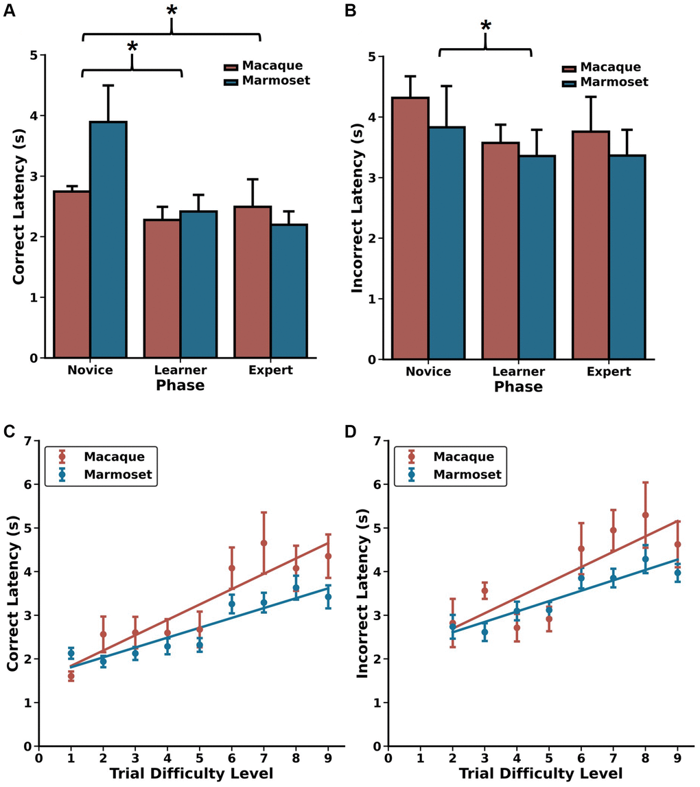 Choice latencies change as a function of DRST Phase and Trial Difficulty Level. Changes in (A) correct choice latencies and (B) incorrect choice latencies across the Novice, Learner, and Expert Phases for macaques (red) and marmosets (blue). Latencies decreased with increased task experience. In the Expert Phase, significant positive Spearman’s correlations were observed between trial difficulty level and (C) correct choice latencies and (D) incorrect choice latencies, reflecting increased cognitive load on more challenging portions of trials. mean ± SEM, *p A–D) are re-plotted from Glavis-Bloom et al., 2022.