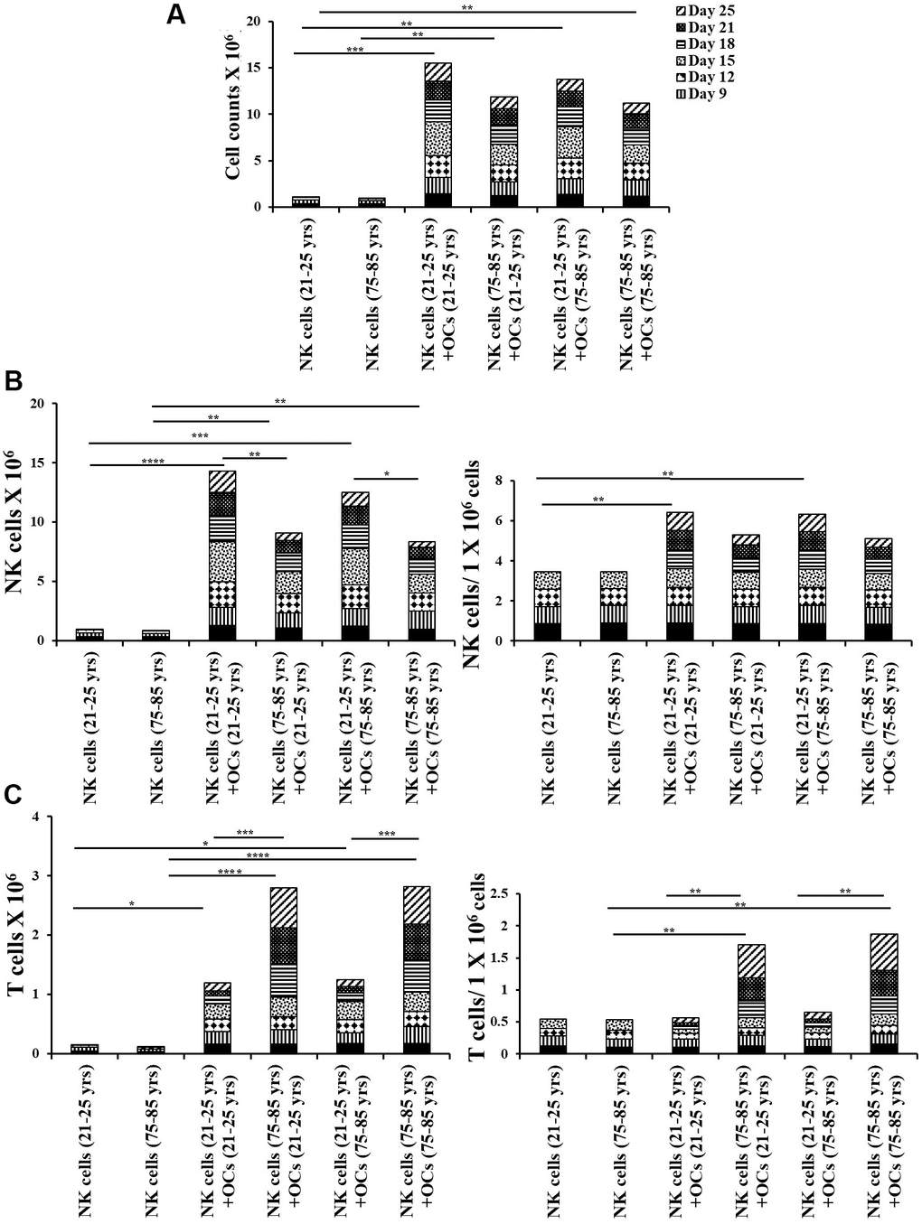 Old-age donor-derived OCs induced lower levels of cell expansion in NK cells. Osteoclasts (OCs) were generated as described in the Materials and Methods section. NK cells (0.5x106 cells/ 2ml) were treated with a combination of IL-2 (1000 U/ml) and anti-CD16mAb (3μg/ml) for 18 hours before they were co-cultured with criss-cross OCs in the presence of probiotic bacteria sAJ2 (1:2:4: OCs:NK:sAJ2). NK cells were counted on days 6, 9, 12, 15, 18, 21, and 25, the day 0 counts were 0.5x106 cells/2 ml, and 0.5x106 cells/2 ml were cultured every 3 days (n=7, A). Number of NK cells, and NK cells per one million of total expanding cells (B) and the number of T cells, and T cells per one million of total expanding cells (C) were determined on days 6, 9, 12, 15, 18, 21, and 25 (n=27). ****(p-value p-value 0.0001-0.001).
