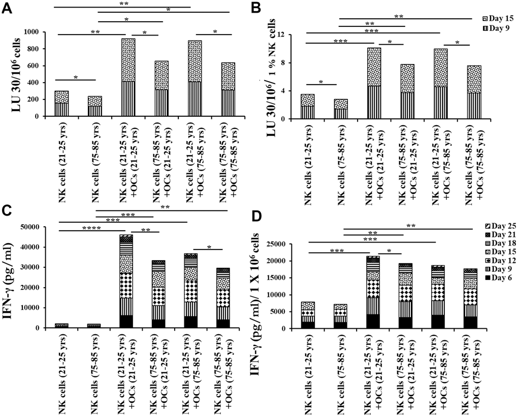 Older individual-derived OCs induced lower levels of activation in NK cells. Osteoclasts (OCs) were generated as described in the Materials and Methods section. NK cells and OCs co-culture was performed as described in Figures 2, 5. NK cell-mediated cytotoxicity against OSCSCs was determined on days 9 and 15 using a standard 4-hour 51Cr release assay. The lytic units 30/106 cells were determined using the inverse number of NK cells required to lyse 30% of OSCSCs x 100 (A). Lytic units per 1 % NK cells were determined based on the percentages of CD16+CD56+ NK cells in the cultures obtained by flow cytometric analysis (B). The supernatants were harvested from the cultures on days 6, 9, 12, 15, 18, 21, and 25 to determine IFN-γ secretion using single ELISA (C), and the levels IFN-γ pg/ml were adjusted based on per million of cells (D). ****(p-value p-value 0.0001-0.001).