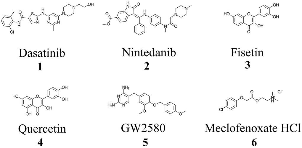 Chemical structures of approved and investigational senolytic (1-5) and nootropic (6) agents. Structures were drawn using ChemDoodle: 2D Chemical Drawing, Publishing and Informatics (Version 11.10, iChemLabs, LLC, Somerset, NJ, USA).