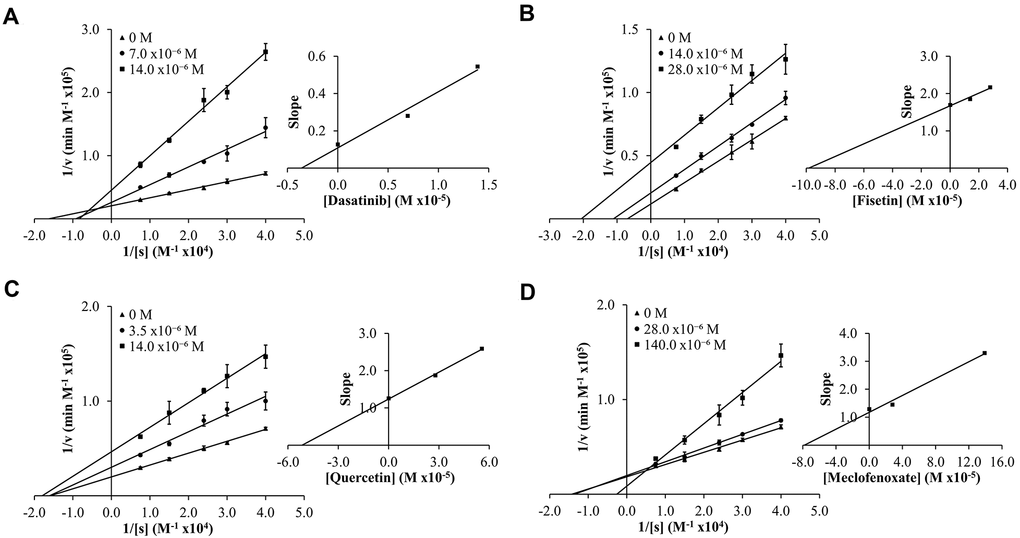 Lineweaver-Burk (LB) plots showing inhibition of butyrylcholinesterase (BChE) upon treatment with varying concentrations of senolytic and nootropic agents 1, 3, 4 and 6 (A–D, respectively). Compounds 2 and 5 showed too little inhibition to complete LB kinetics. Each compound was assessed at a range of concentrations (0-140 μM), with 0 M (▲), middle concentration (●), and highest concentration (■). Slopes from LB plot trendlines were plotted against compound concentrations to generate Ki values as the x-intercept (insert graphs). Enzyme kinetic experiments were performed in triplicate and kinetic parameter values were averaged.