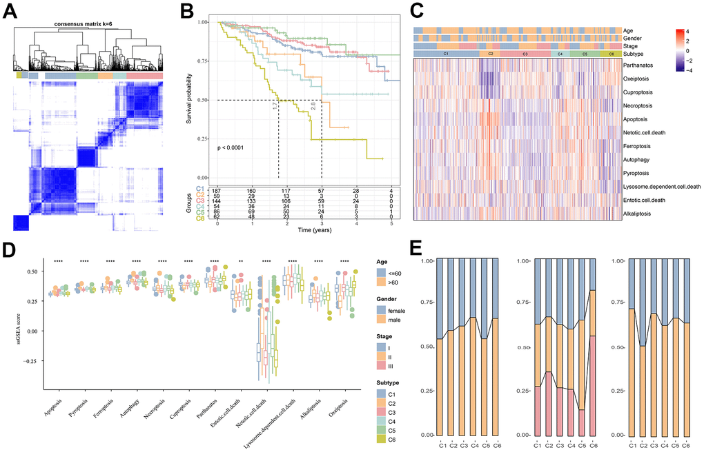 Cluster analysis of different subtypes of MM based on PCD-related genes. (A) Heatmap of sample clustering in MMRF-COMPASS with a total of k = 6. (B) Relationship KM curves of OS prognosis for six molecular subtypes. (C) Differences in PCD between molecular subtypes in the MMRF-COMPASS cohort. (D) Heat map of statistically significant different PCD levels in different subtypes. (E) Clinicopathological characteristics of the six molecular subtypes in the MMRF-COMPASS training cohort. **p p 