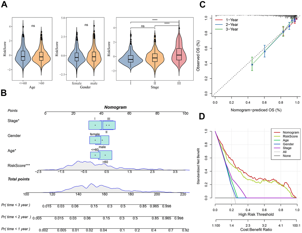 Nomogram construction for predicting the prognosis of MM patients. (A) Differences in clinicopathological characteristics between risk subgroups in the MMRF-COMPASS training set. (B) Risk score combines clinical features to create column-line plots. (C) Calibration curves were used to validate the established column line plots. (D) Decision curve analysis of column-line plots. Ns represents p > 0.05, and ****p 