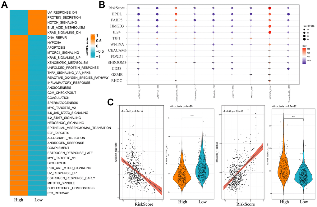 Risk models and pathway characteristics and drug sensitivity differ between patients in different MM risk groups. (A) HALLMARK pathway differences between high and low-risk subgroups. (B) Bubble plots of Risk score in the MMRF-COMPASS training set cohort and expression of key genes in the model versus drug IC50 values, size and color indicate the strength of the association. (C) Comparison of IC50 scores versus drugs between high and low-risk groups. *p p p p 