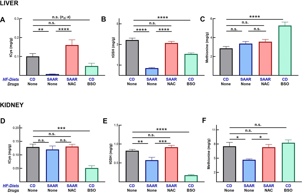 BSO decreases tissue concentrations of cysteine and glutathione, but not of methionine. Similar to the SAAR diet, BSO decreased total cysteine (tCys) (A) and total glutathione (tGSH) (B) in the liver, but to a lower extent. Unlike the SAAR diet, which did not alter hepatic methionine, BSO increased it (C). BSO exerted stronger effects than the SAAR diet on tCys (D) and tGSH (E) in the kidney. The SAAR diet, but not BSO, decreased methionine in the kidney (F). NAC reversed the impact of the SAAR diet on both sulfur compounds. Note: # indicates P-values from a 2-tailed Student’s t-test; the rest of the statistical methods are similar to those in Figure 1.