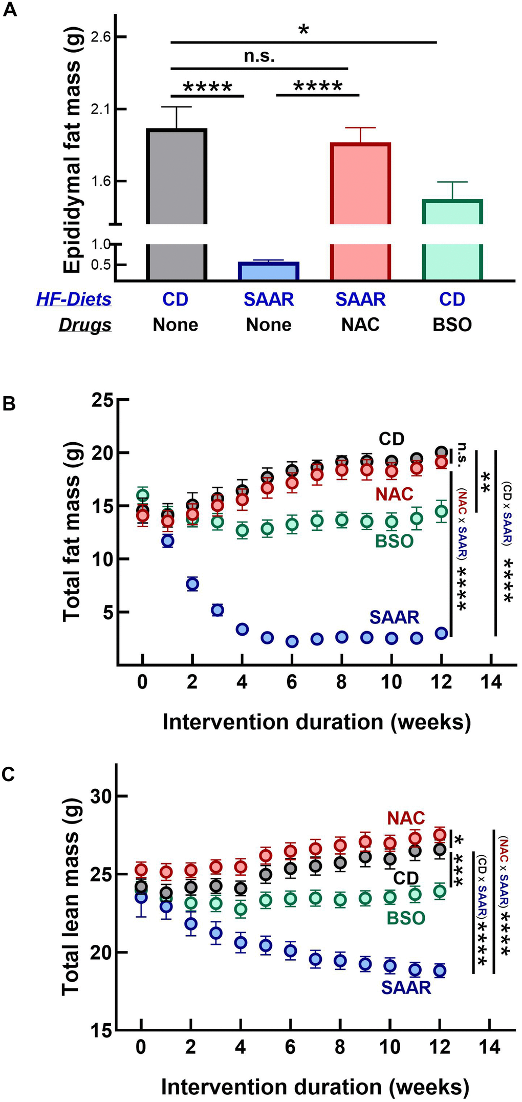 BSO prevents fat mass gain without affecting lean mass. The SAAR diet and BSO lowered epididymal fat mass (A). However, the SAAR diet exerted a strong effect on total body fat mass compared to the baseline values at week 0 (B); with a concomitant decrease in lean mass (C). Although it did not exert as strong an effect as the SAAR diet on total fat mass (B), BSO did not lower lean mass (C). On the other hand, NAC mice had values similar to those of CD mice (A–C). Note: Statistics and sample size are as mentioned in Figure 1.