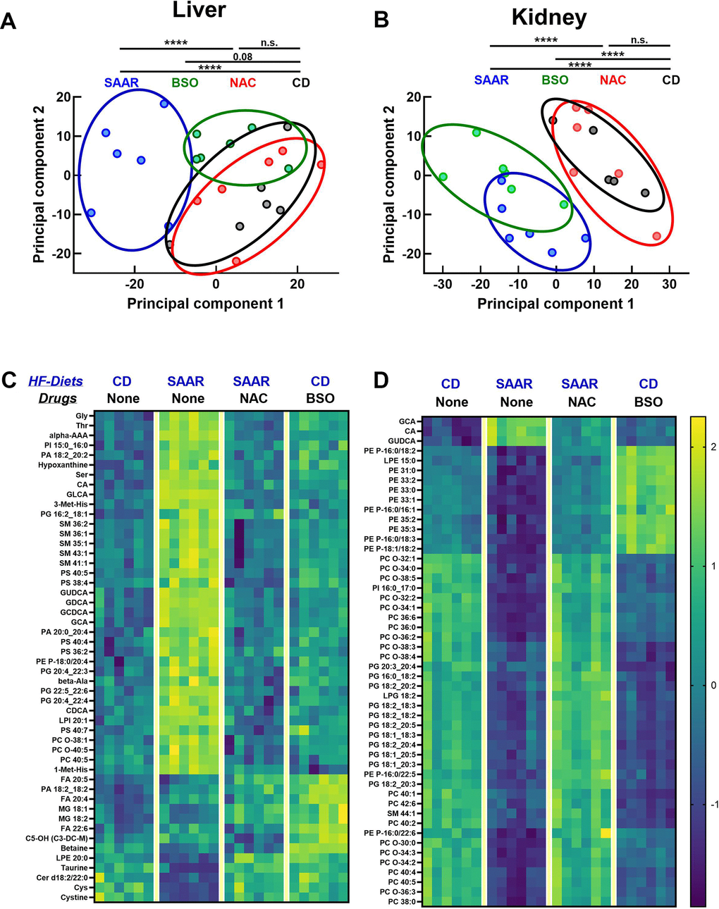 BSO and the SAAR diet induce similar metabolomic profiles in the kidneys. Metabolomics analyses revealed that the SAAR diet induces unique changes in the liver, which were reversed by NAC supplementation (overlap of NAC and CD clusters). (A) Although the BSO-induced changes appear as a cluster separated from CD, the statistical significance was on the borderline. However, BSO-induced changes in the kidney overlapped the SAAR-induced changes, while clusters from the NAC and CD groups overlap, indicating the reversal of SAAR diet-induced changes (B). Heat maps of the metabolites with the most significant changes in the liver and kidney are shown in (C, D).