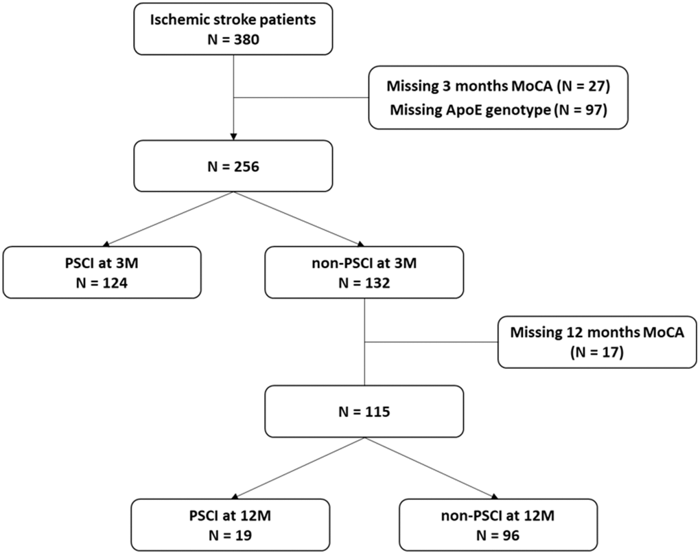 Patient selection flowchart.