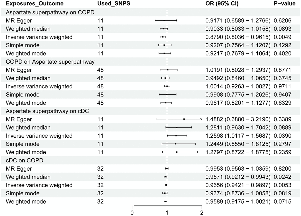 The forest plot shows the causal relationship between the aspartate superpathway, cDC, and COPD. OR: odds ratio; CI: confidence interval. The relationship between the exposure variable and the outcome is calculated through several functions, including MR Egger, weighted median, inverse variance weighted (IVW), simple mode, and weighted mode. Among them, IVW is the primary method.