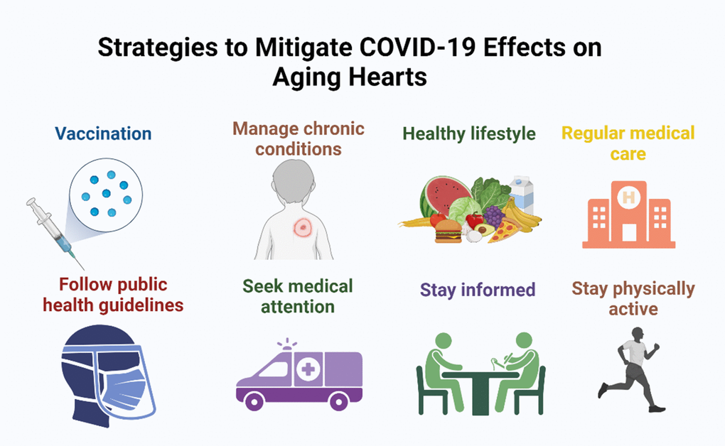 To prevent the impact of COVID-19 on aging hearts, implement measures such as vaccination, adherence to public health guidelines, managing chronic conditions, staying active, and seeking regular medical care.
