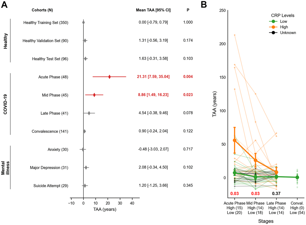 Transcriptomic age acceleration (TAA) across healthy, COVID-19 and mental illness cohorts. (A) A forest plot illustrates interval estimates of TAA across cohorts. Red-filled diamonds indicate statistically significant TAA (P B) A line plot depicts TAA trajectories in COVID-19 patients, stratified by CRP levels (Low, High, and Unknown). The x-axis shows infection stages with respective sample sizes of High and Low CRP groups, while the y-axis displays TAA in years. Bold lines represent the group trends for High CRP (orange) and Low CRP (green) groups. Error bars indicate the mean ± SEM. Nominal P-values are shown at the bottom for each phase using two-sided Welch's t-test. Red indicates statistical significance while black shows no significance. The group trend of Unknown CRP (green) was omitted. SEM = Standard Error of Sample Means; TAA = Transcriptomic Age Acceleration.