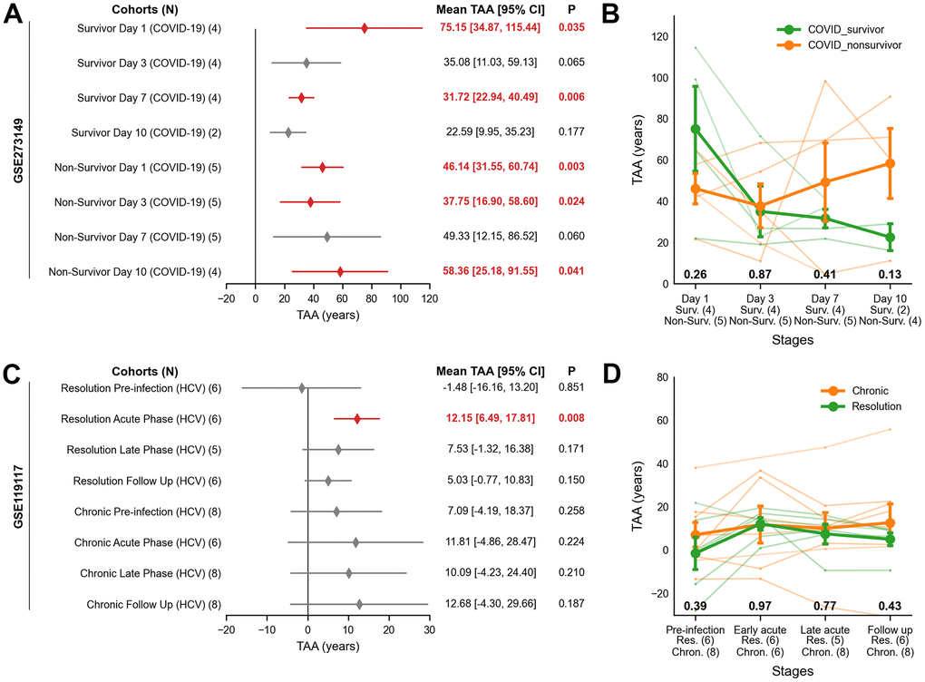 Transcriptomic age acceleration (TAA) across COVID-19 ARDS and HCV cohorts using publicly available RNA-seq data. (A, B) COVID-19 ARDS cohort. (A) Forest plot showing the interval estimates of TAA. Statistically significant TAA values (P B) Line plot of TAA trajectories stratified by clinical outcome (survivors, orange; non-survivors, green). The x-axis indicates infection stages with sample sizes; the y-axis shows TAA in years. Lines represent group means ± SEM; nominal P-values from two-sided Welch’s t-test are shown below each phase. (C, D) HCV cohort. (C) Forest plot showing TAA in years with significance as in (A). (D) Line plot of TAA trajectories stratified by resolution stage (chronic, orange; resolution, green), with interpretation as in (B). ARDS = Acute Respiratory Distress Syndrome, Chron. = Chronic; HCV = Hepatitis C Virus; Non-Surv. = Non-Survivor; Res. = Resolution; SEM = Standard Error of Sample Means; Surv. = Survivor; TAA = Transcriptomic Age Acceleration.