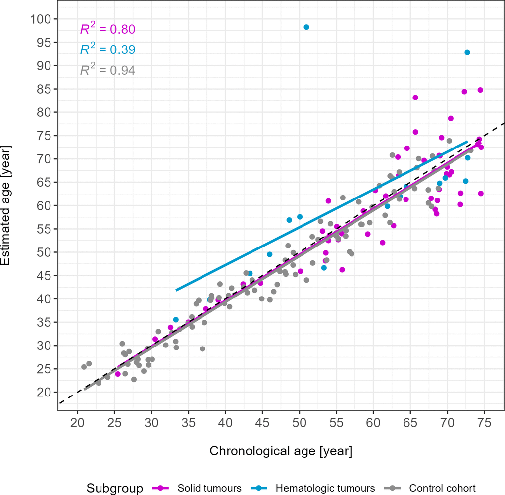 Age estimates of the u75 study cohort and control samples. Solid tumours are depicted in magenta (n = 53), hematologic tumours in blue (n = 16) and the control cohort in grey (n = 102). R2 of each subgroup are depicted in the upper left corner. Two outliers were identified visually. The grey dotted line is the line of identity. MAE in years: 4.66 (solid tumours), 7.59 (hematologic tumours), 2.72 (control cohort).