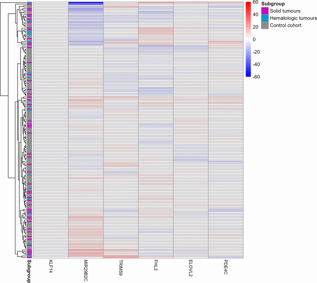 Heat map of the six target CpG sites used in the age estimation tool in the u75 cohort and controls. Methylation beta values are adjusted for chronological age. The labels on the x-axis refer to the respective target CpG site in each marker. The two cancer patients Cancer033 and Cancer042 in the two top rows showed a differential methylation in the MIR29B2C target CpG site. Red colouring indicates higher beta values and blue colouring indicates lower beta values. Rows indicating samples from the three subgroups are indicated in grey (control cohort), blue (solid tumours) or magenta (hematologic tumours).