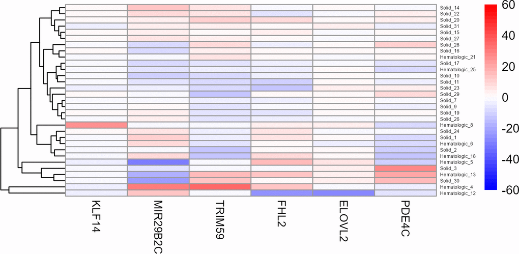 Heat map of the six target CpG sites used in the age estimation tool in all cancer patients older than 75 years. Methylation beta values are adjusted for chronological age. The labels of the x-axis refer to the respective target CpG site in each marker. Cancer022 (called Hematologic