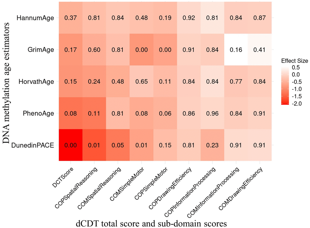 Association between dCDT scores and DNAm age acceleration in 1789 participants of the FHS. The dCDT total score includes command task composite scores and copy task composite scores. DNA methylation age acceleration was obtained by regressing DNAm age metrics on chronological age. We conducted association analysis between standardized DNAm age acceleration and the dCDT total score, adjusted for age, self−reported sex, education and cell counts. The numbers inside each cell represent the P−values of the associations. The color represents the change in dCDT scores corresponding to a one SD increase in DNAm age acceleration.