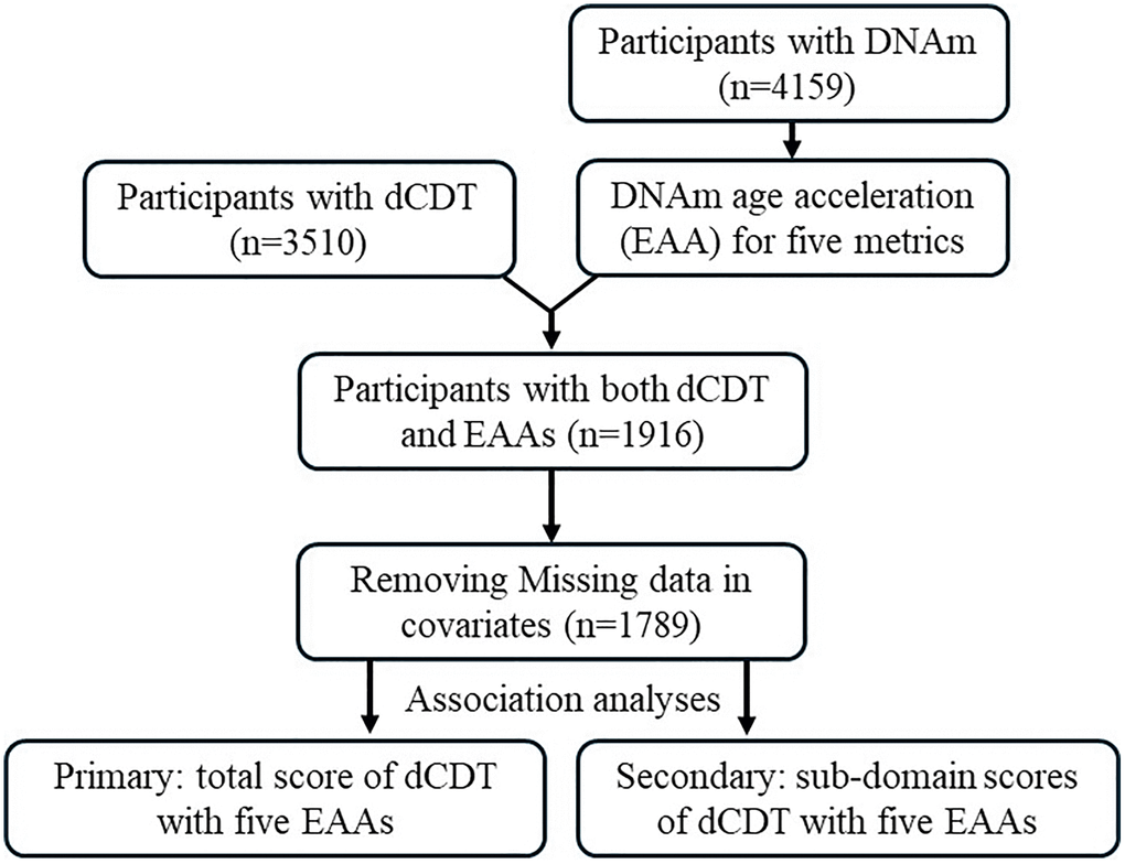 Flow chart of study design. The participation of dCDT was solely based on consent. In the FHS, we identified participants with dCDT measurements and DNAm. Five DNAm age metrics were calculated. Epigenetic (DNAm) age acceleration (EAA) was calculated by regression of the DNAm age metrics on chronological age. Primary analysis focused on the association between dCDT total scores and EAAs, whereas secondary analysis focused on the association between dCDT sub−domain scores and EAAs.