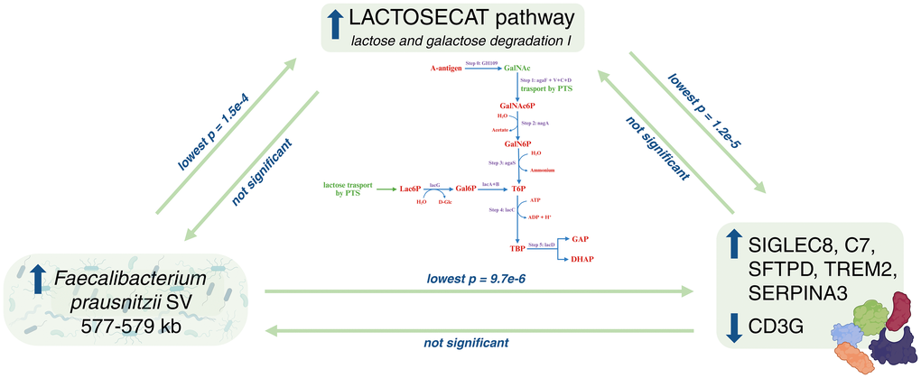 ミイ Causal relationships between gut microbiome and hundreds of