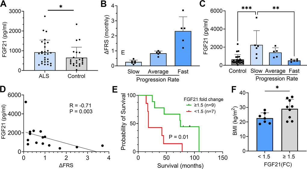 Plasma FGF21 is increased in ALS patients and high levels associated with slower disease progression and prolonged survival. (A) Plasma samples from age-matched normal controls (n = 23) and ALS patients (n = 28) and assayed by ELISA for FGF21. *P = 0.043, unpaired two-tailed t-test. (B) 16 ALS patients from a prior biomarker study were divided into slow (n = 6), average (n = 5), and fast (n = 5) progressing groups based on the average in the study monthly decline in ALSFRS-R scores. (C) Plasma FGF21 levels were measured at baseline and 3 months and averaged. The normal control values were added for comparison. **P = 0.003, ***P = 0.0003; one-way ANOVA followed by Tukey post hoc test. (D) Correlation between plasma FGF21 levels with monthly change in the ALSFRS-R scores (∆FRS) for each subject. Spearman correlation test. (E) Kaplan–Meier survival curves for study patients whose FGF21 plasma levels were P = 0.015; Log-rank (Mantel-Cox) test. (F) Comparison of body mass index (BMI) between the P = 0.037; unpaired two-tailed t-test. For all graphs, error bars represent SD.