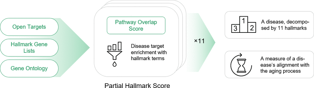 A brief overview of the scoring methodology used to measure a disease's alignment with the general aging process.