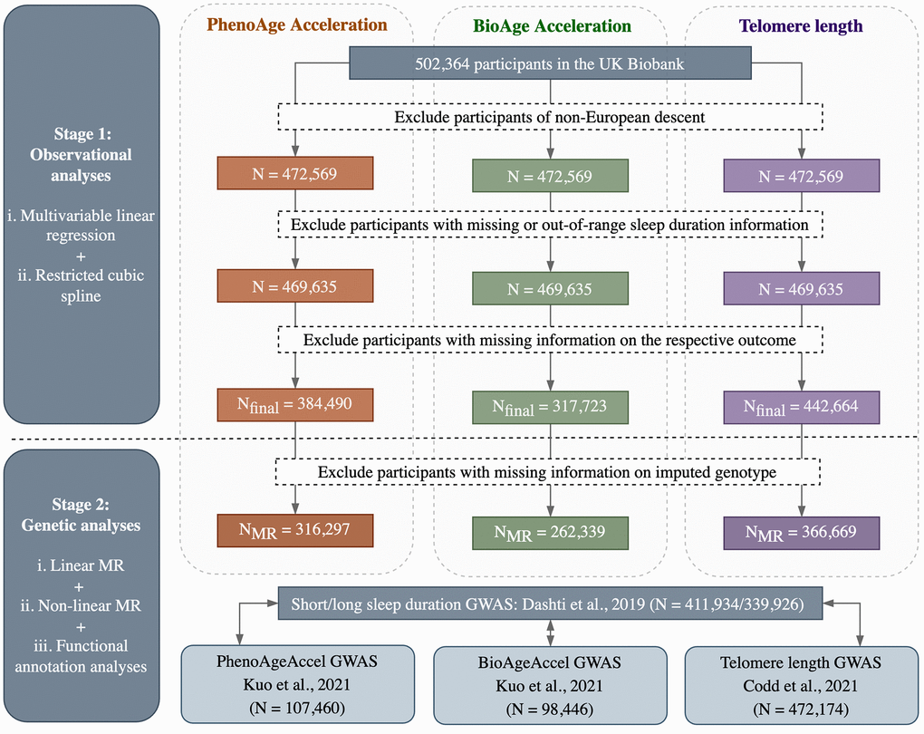 Flowchart of participant selection and overall study design.