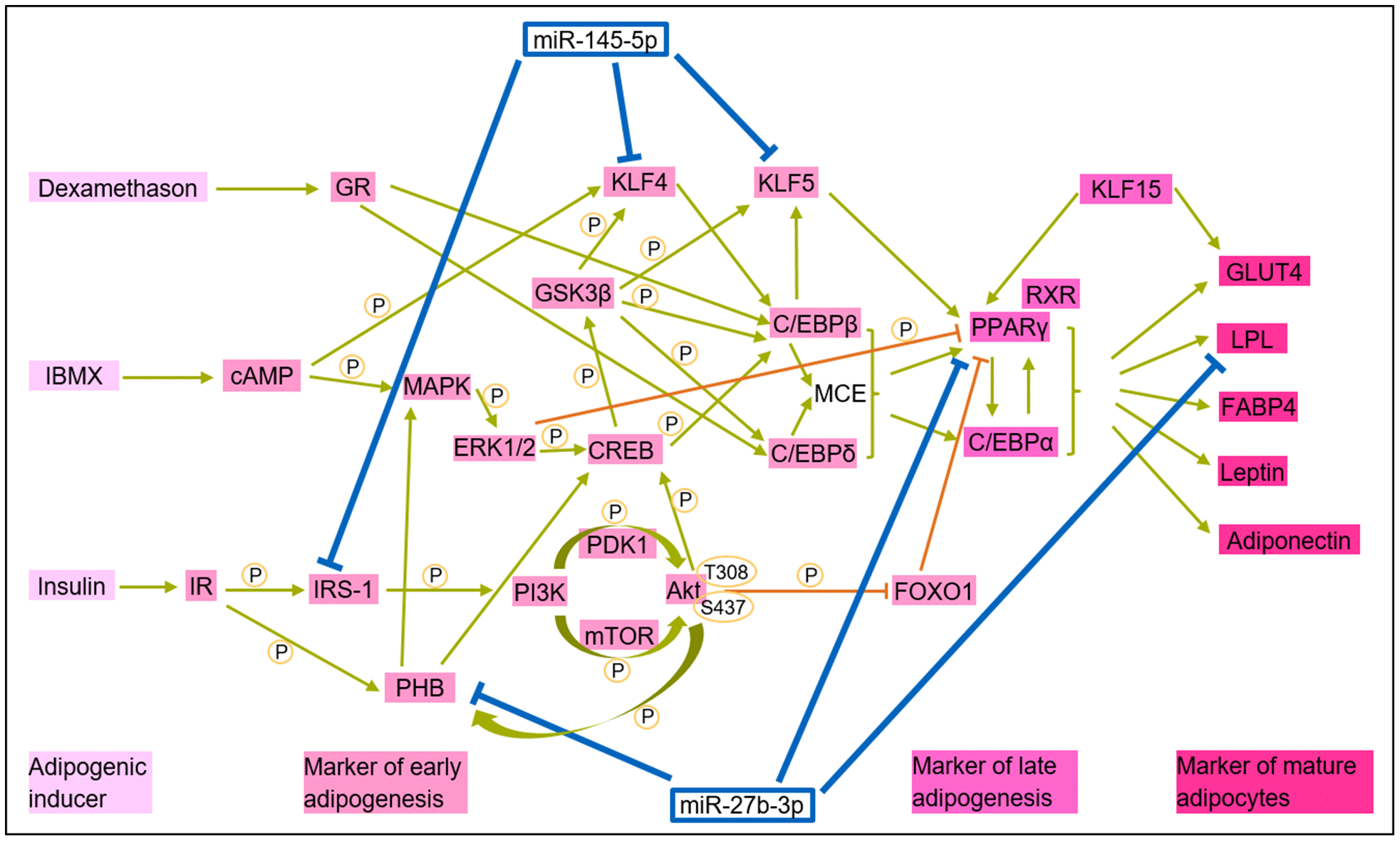class="figure-viewer-img"