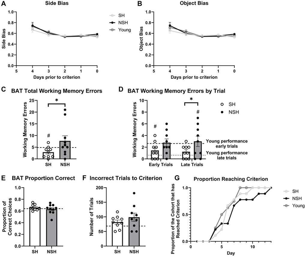 Performance during BAT training. No group differences in (A) side bias or (B) object bias during BAT training were observed. (C) Total number of working memory errors made during BAT training. (D) Number of working memory errors made during the first half (early trials) and second half (late trials) of each BAT training session. (E) Proportion of correct choices made during BAT training. (F) Number of incorrect trials prior to reaching criterion. (G) Proportion of the cohort reaching criterion across day of BAT training. Abbreviations: BAT: biconditional association task; SH: socially housed; NSH: non-socially housed. Error bars represent standard error of the mean. Dashed lines represent population (test-values) averages obtained from the young cohort and #signifies p t-tests. *signifies p t-tests.