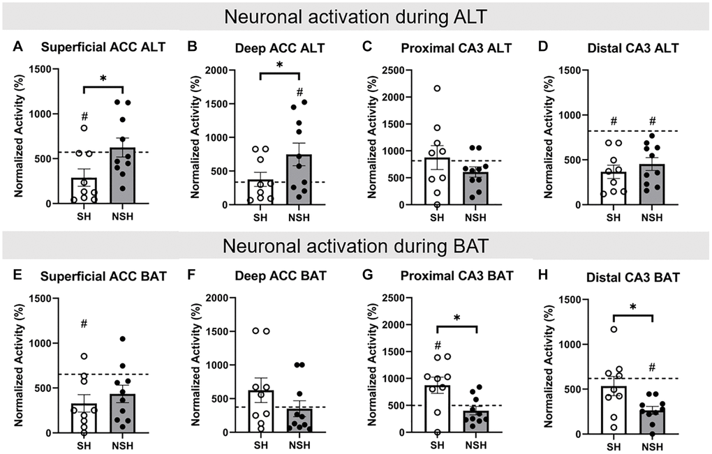 Percentage of neurons active during ALT and BAT in the ACC and CA3. All data are normalized to baseline. (A) Percent of neurons active in the superficial ACC during ALT. (B) Percent of neurons active in the deep ACC during ALT. (C) Percent of neurons active in the proximal CA3 during ALT. (D) Percent of neurons active in the distal CA3 during ALT. (E) Percent of neurons active in the superficial ACC during BAT. (F) Percent of neurons active in the deep ACC during BAT. (G) Percent of neurons active in the proximal CA3 during BAT. (H) Percent of neurons active in the distal CA3 during BAT. Abbreviations: ALT: alternation task; BAT: biconditional association task; SH: socially housed; NSH: non-socially housed; ACC: anterior cingulate cortex. Error bars represent standard error of the mean. Dashed lines represent population (test-values) averages obtained from the young cohort and #signifies p t-tests. *signifies p t-tests.