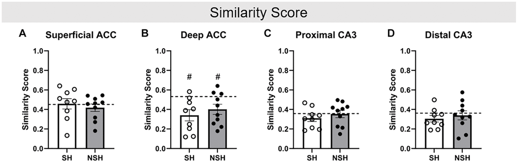 Similarity score. Similarity score in the (A) superficial ACC, (B) deep ACC, (C) proximal CA3, and (D) distal CA3. Similarity score represents the percent of neurons that were active during both ALT and BAT, while accounting for chance. Abbreviations: SH: socially housed; NSH: non-socially housed; ACC: anterior cingulate cortex. Error bars represent standard error of the mean. Dashed lines represent population (test-values) averages obtained from the young cohort and #signifies p t-tests. *signifies p t-tests.